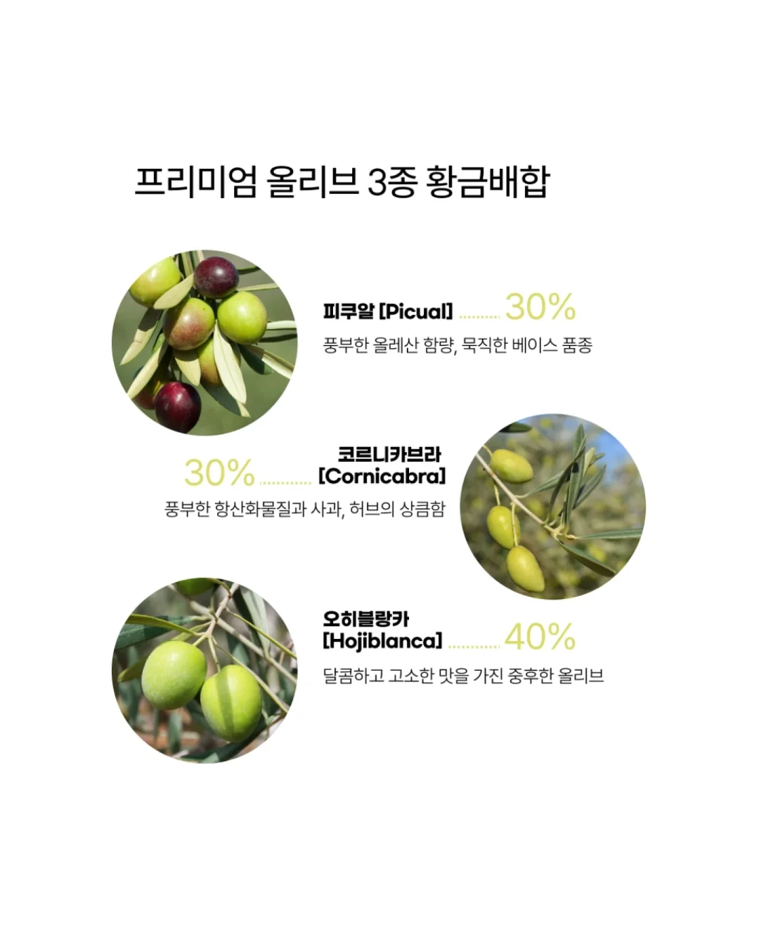 반전케이크 4