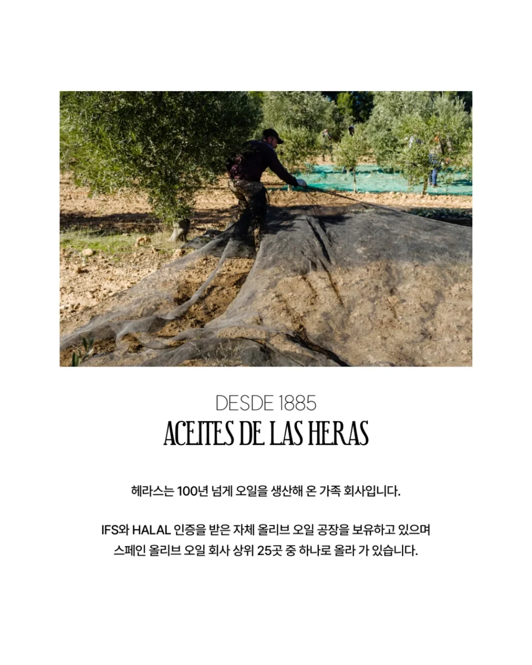 반전케이크 5