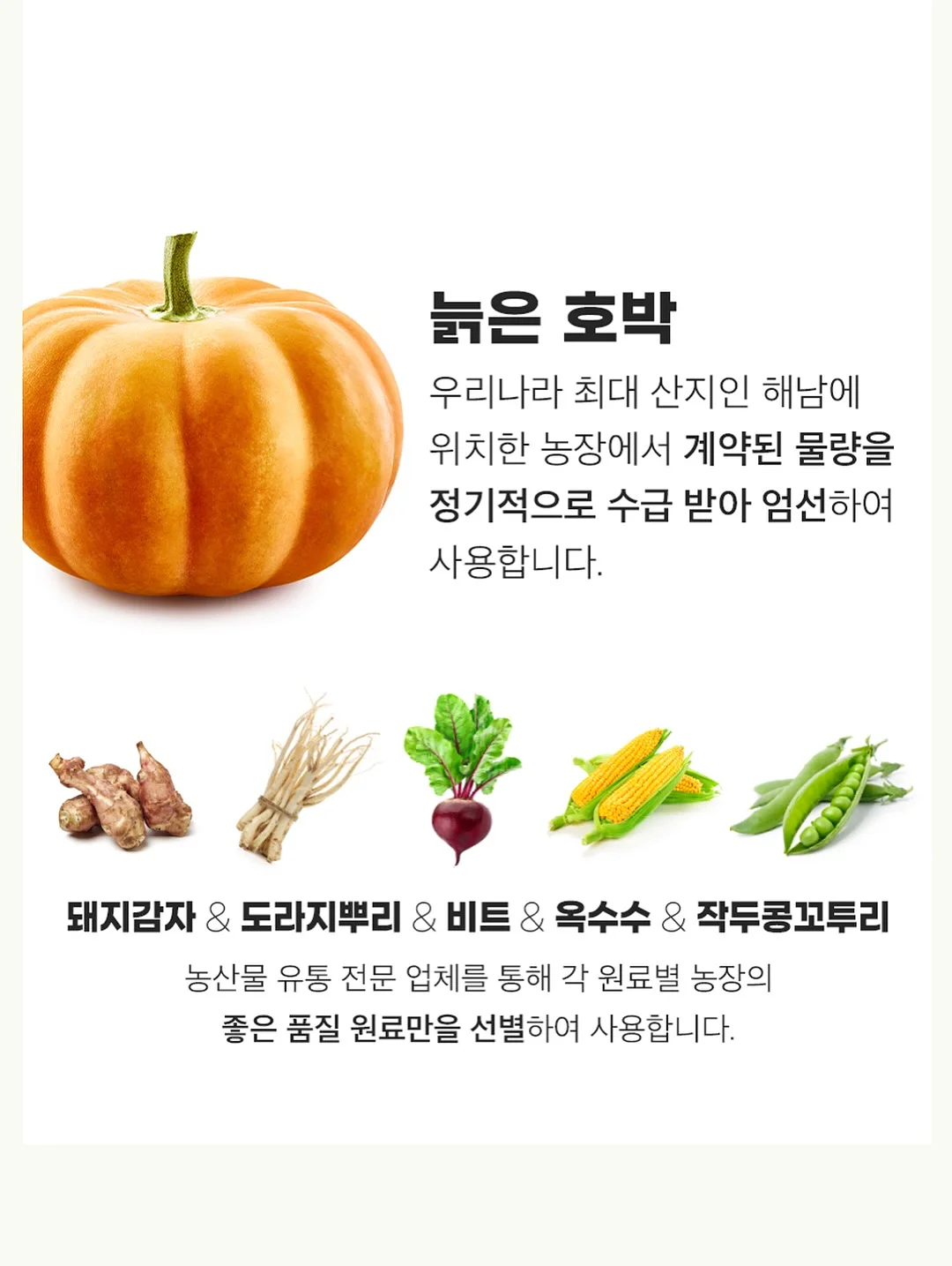 코튼 맥시 스커트 5
