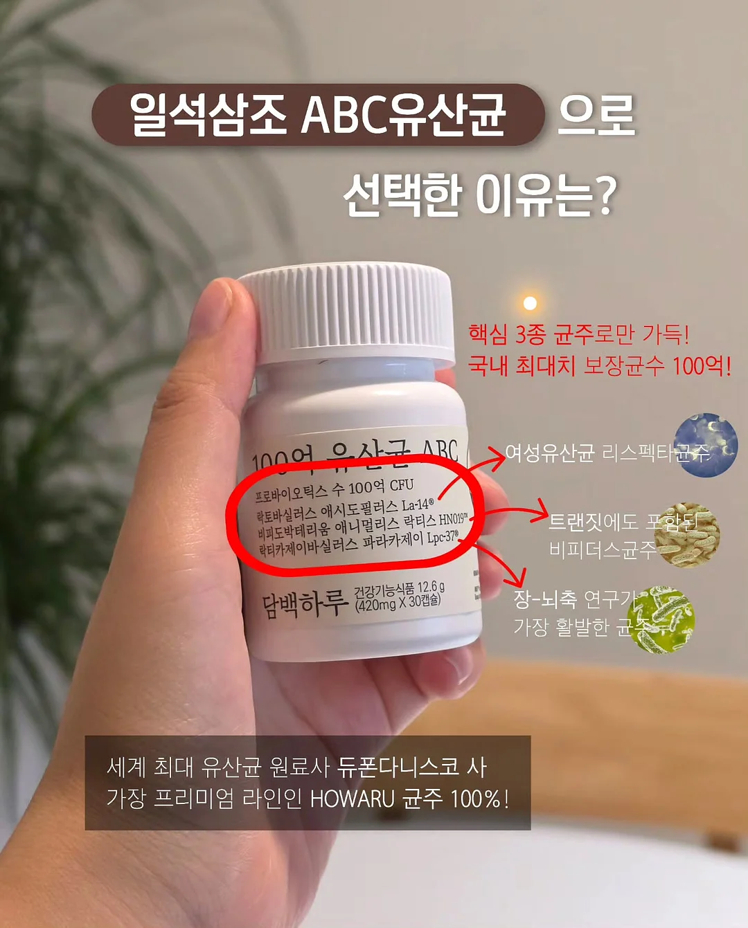 제로스틱 4