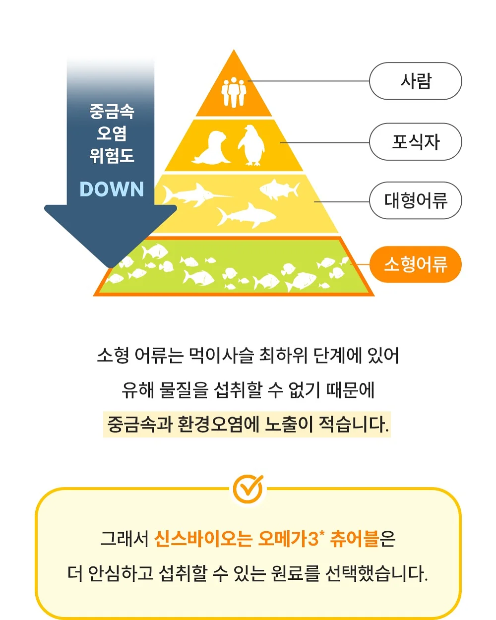The Animals Observatory 2026 봄/여름 컬렉션 10