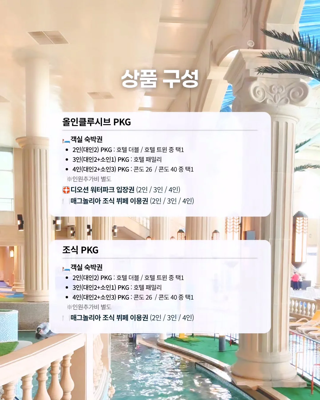 디딤슈벤치 19
