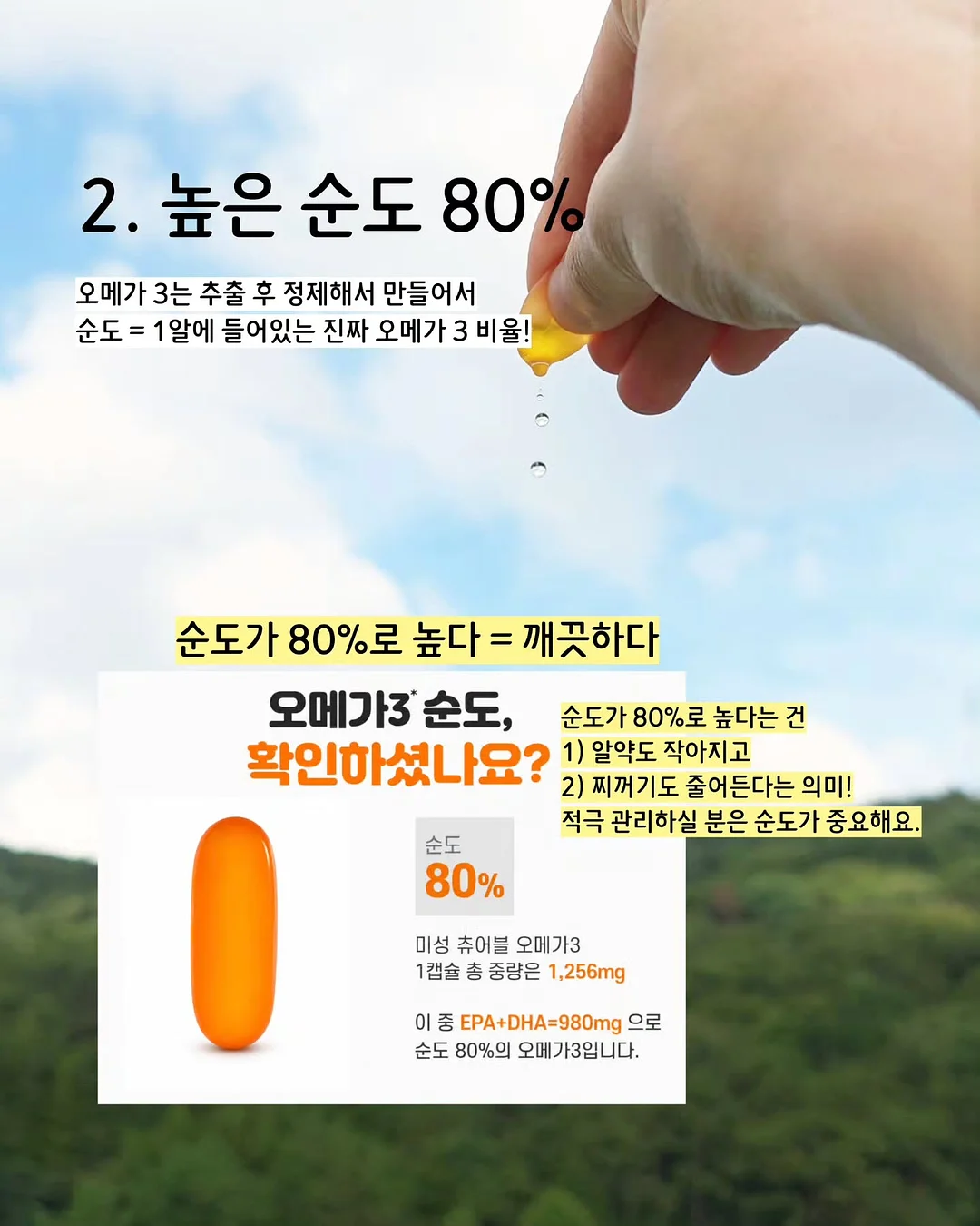 보떼덤 엘리시어 엔자임 파우더 클렌저 6