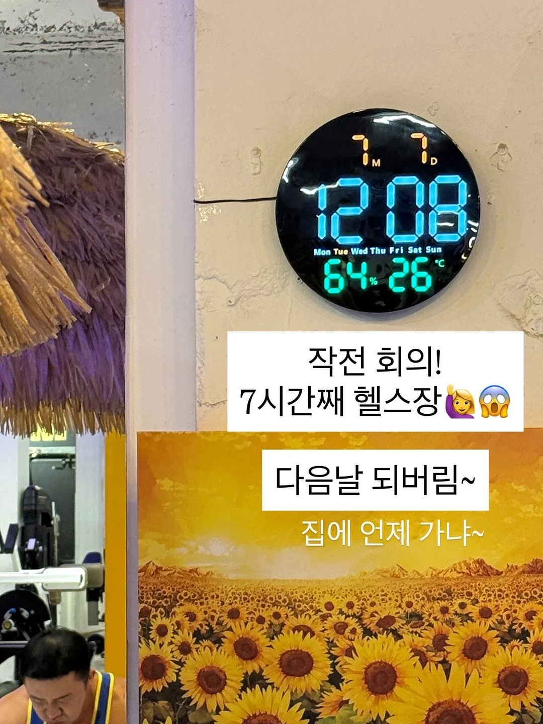 돌체 플랫모 5