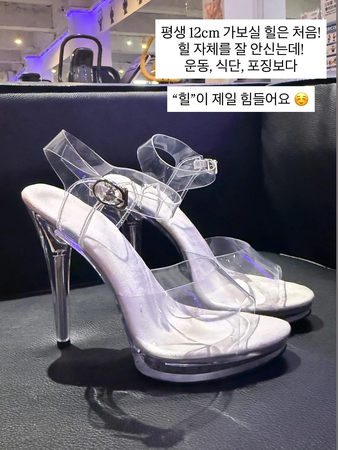 돌체 플랫모 6