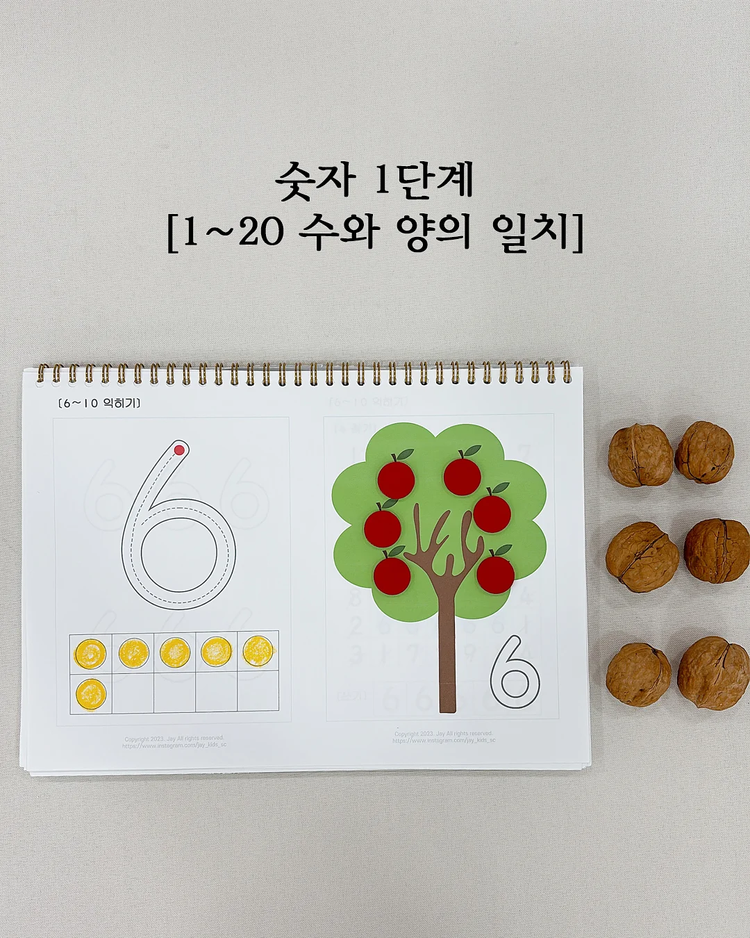 락티브 컬리케일&이노시톨 8