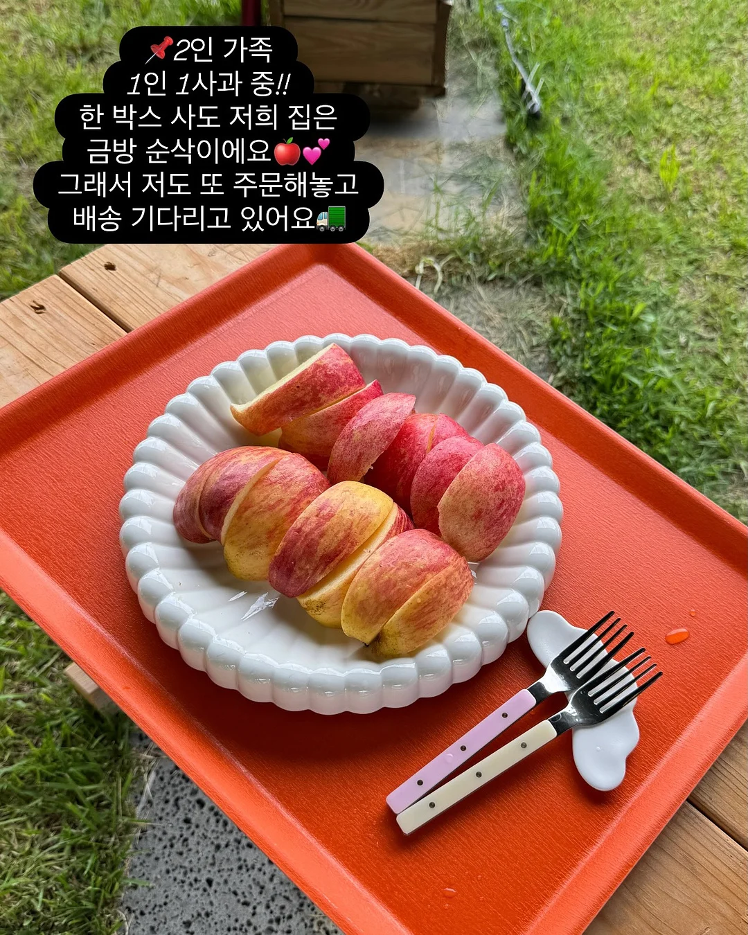 애플 락토 세럼 4종, 애플 락토 팝핑 토너 4종 4