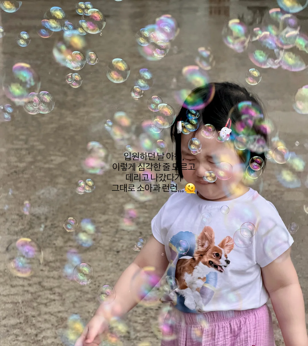 옐로오렌지리스 케이크 4