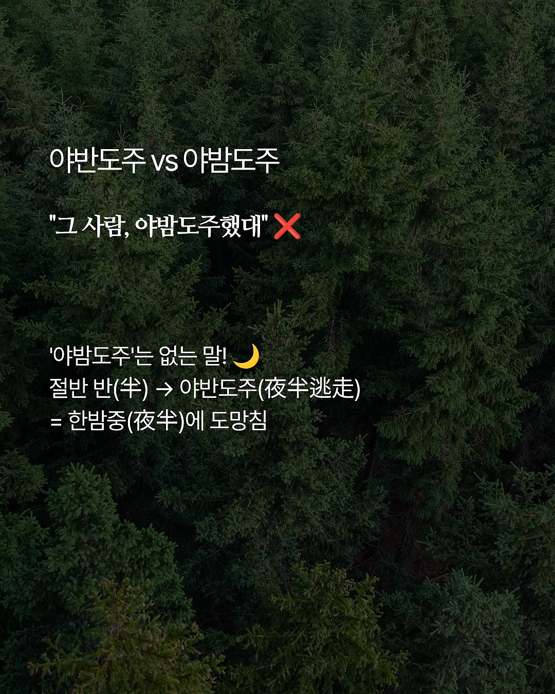 취업 특강 2