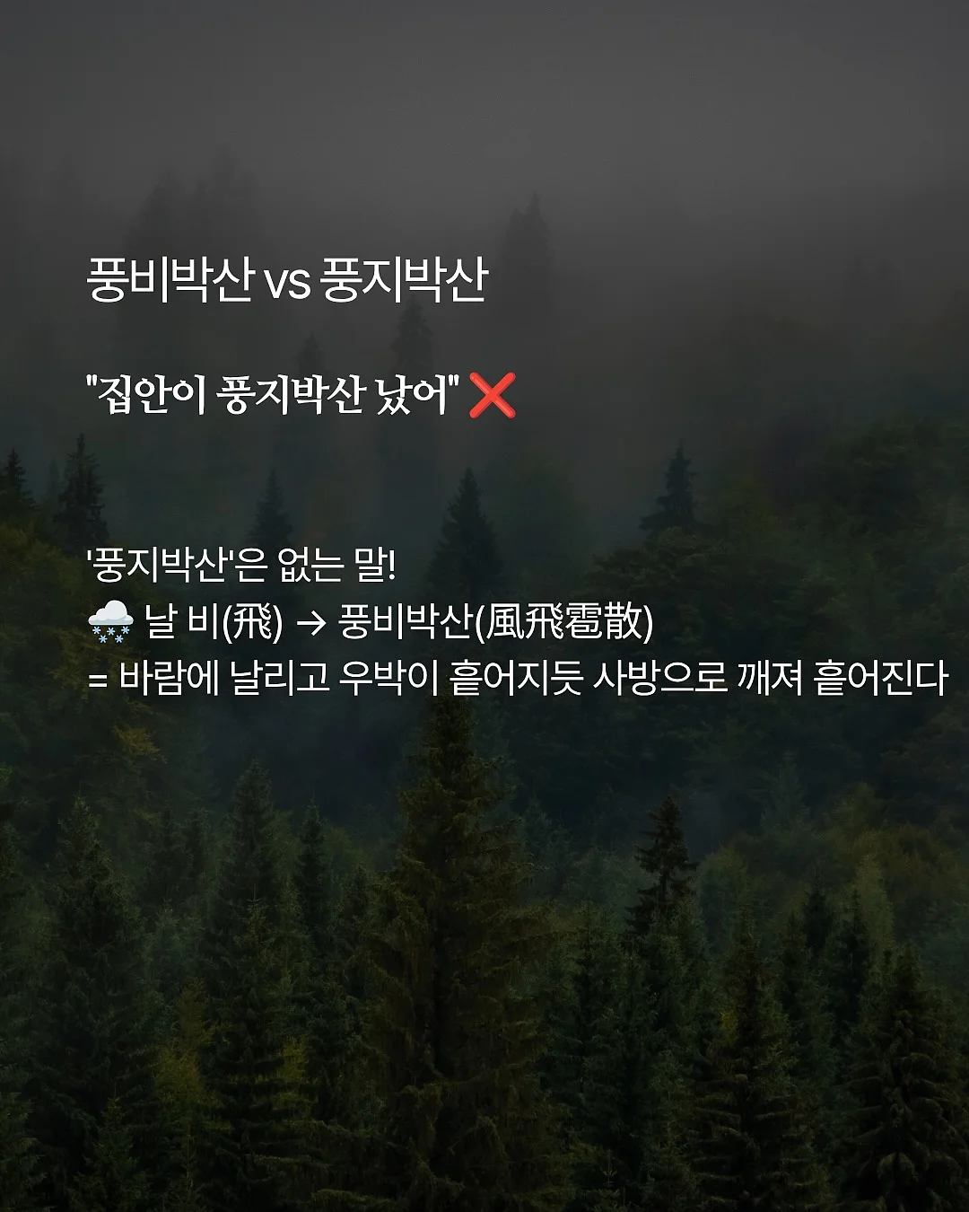 취업 특강 4