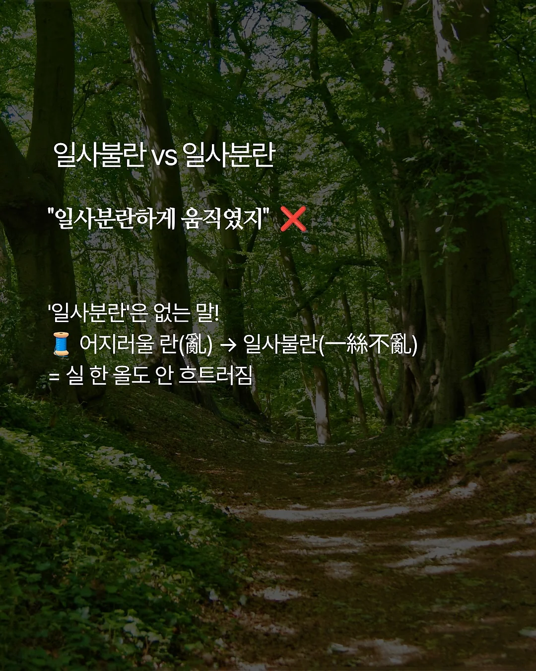 취업 특강 5