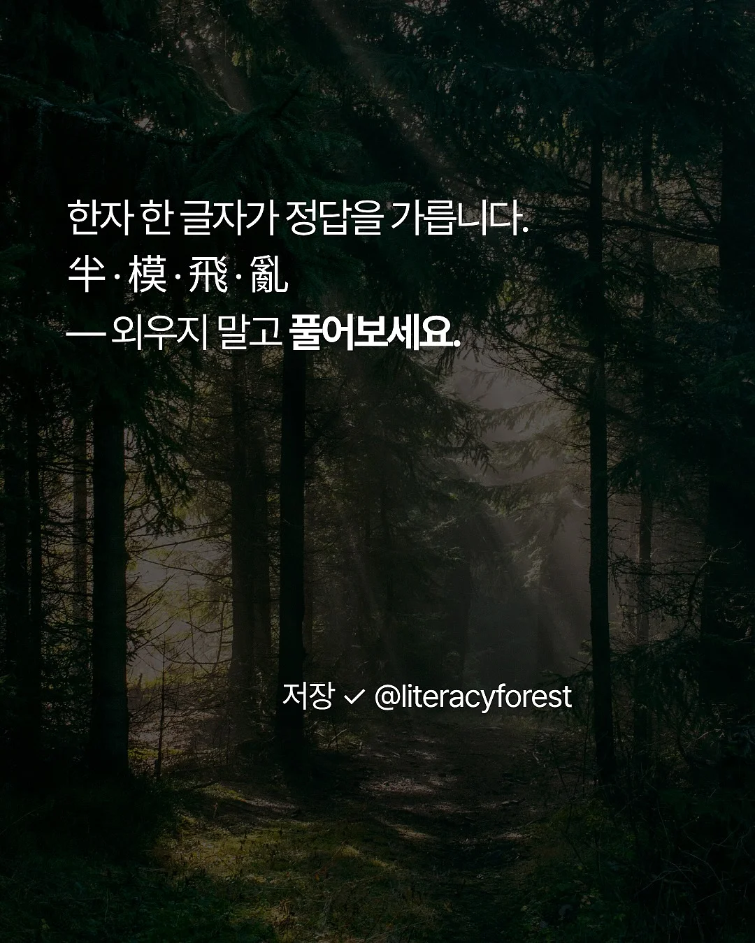 취업 특강 6