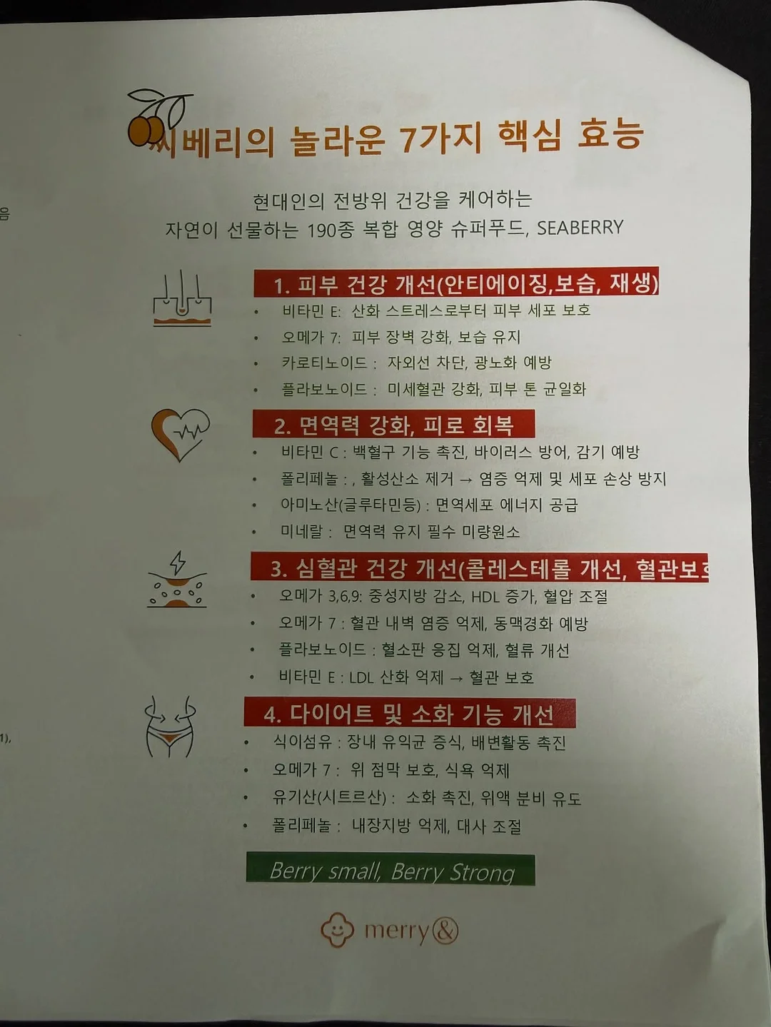 제주도 무농약 블루베리 13