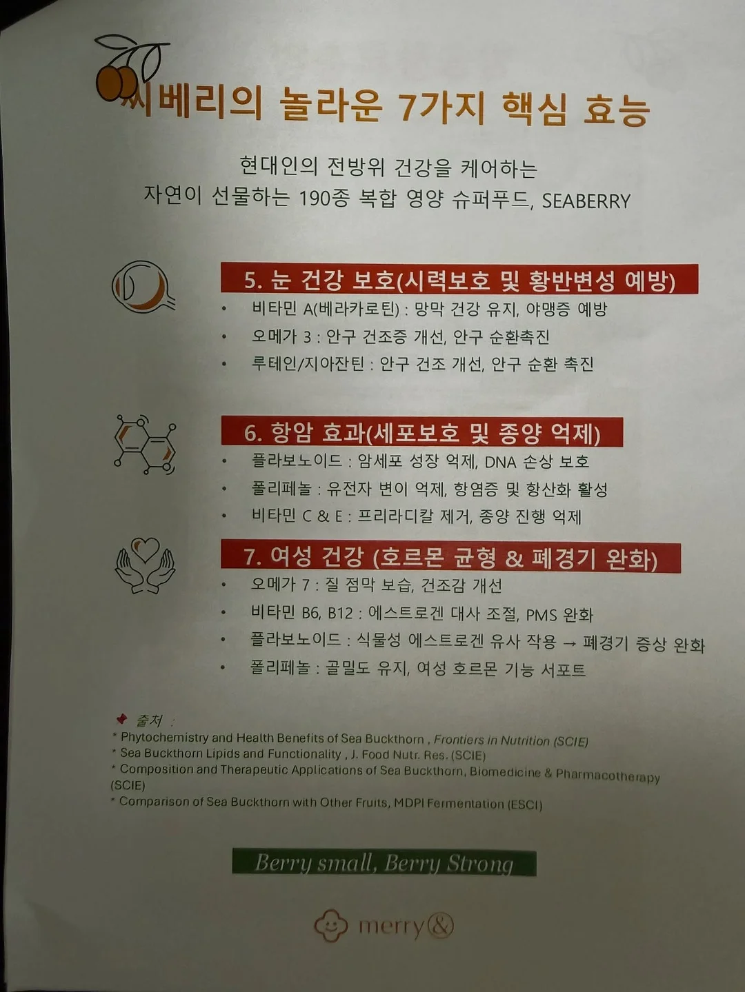 제주도 무농약 블루베리 14