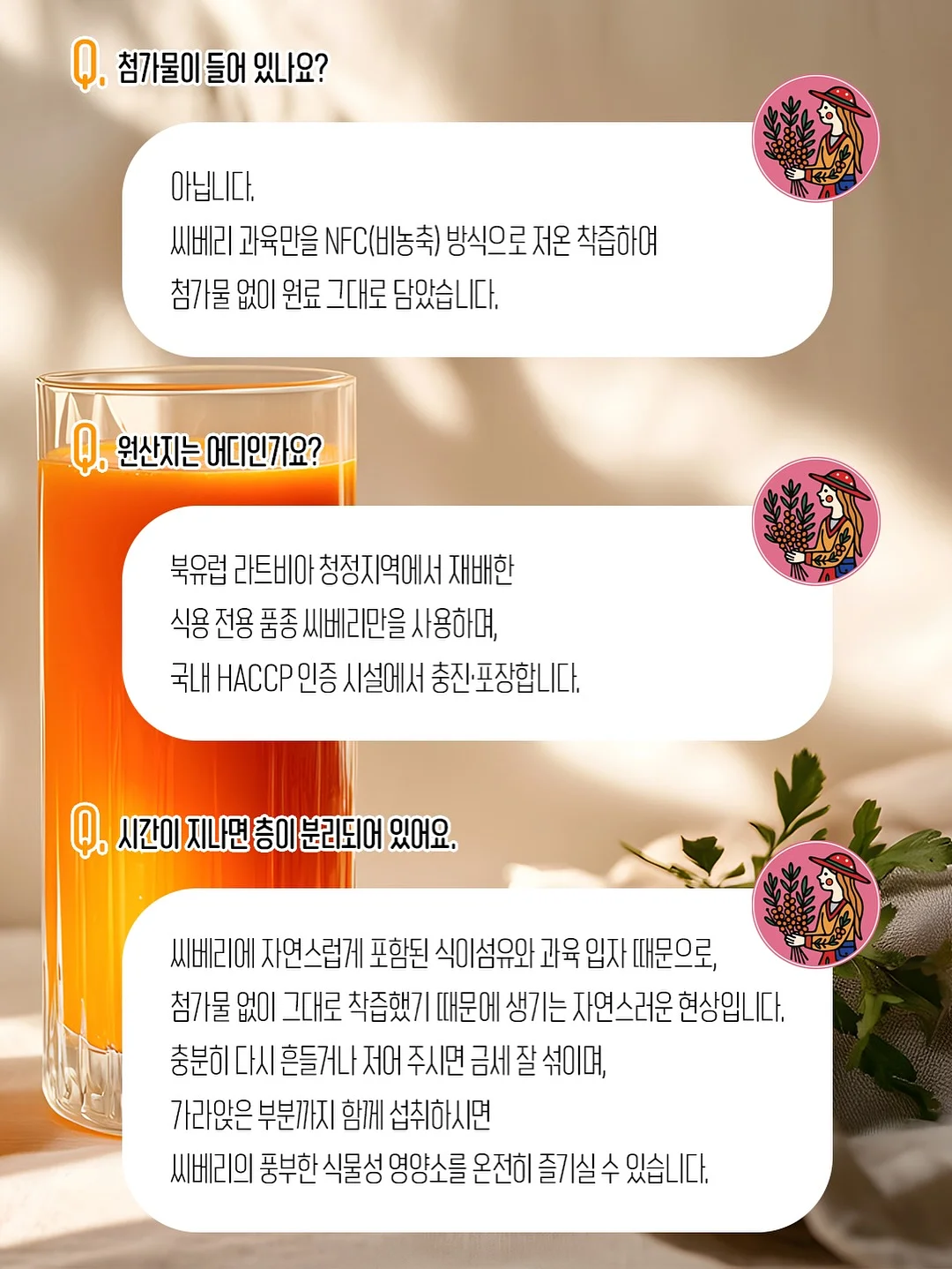 제주도 무농약 블루베리 16