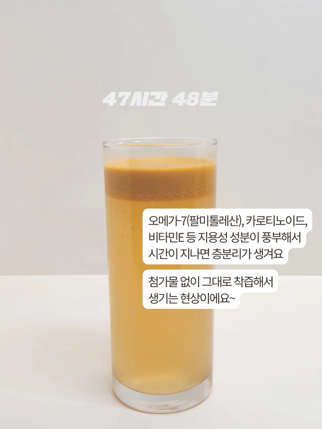 제주도 무농약 블루베리 3
