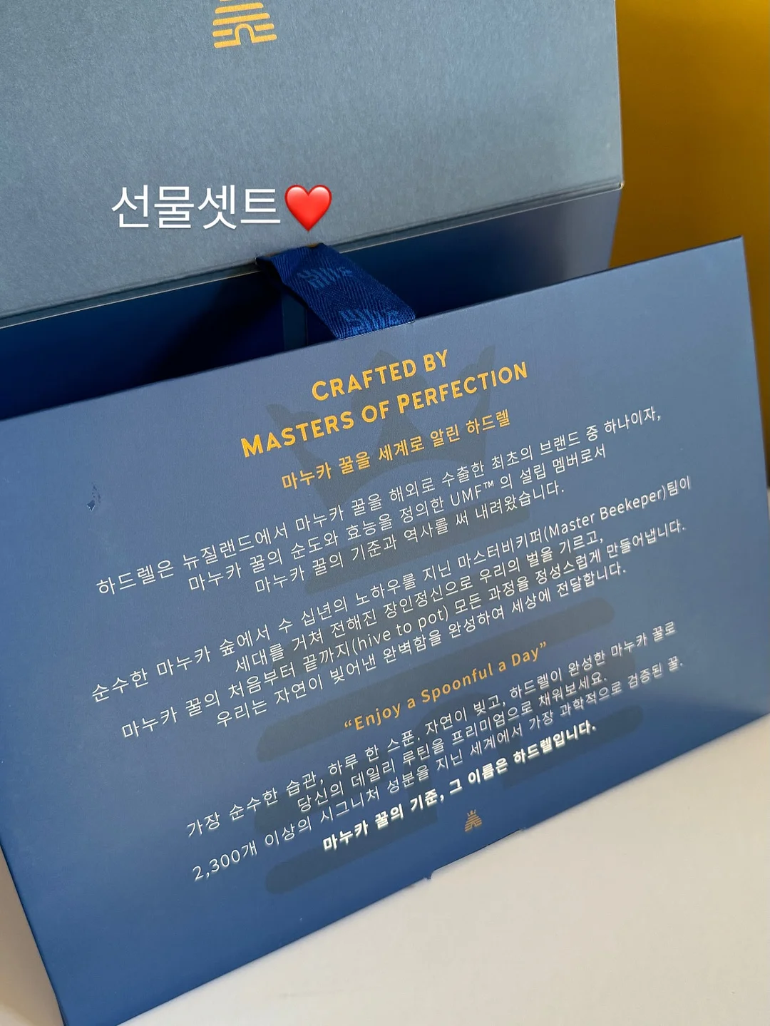 알터에고 노워시 트리트먼트 12