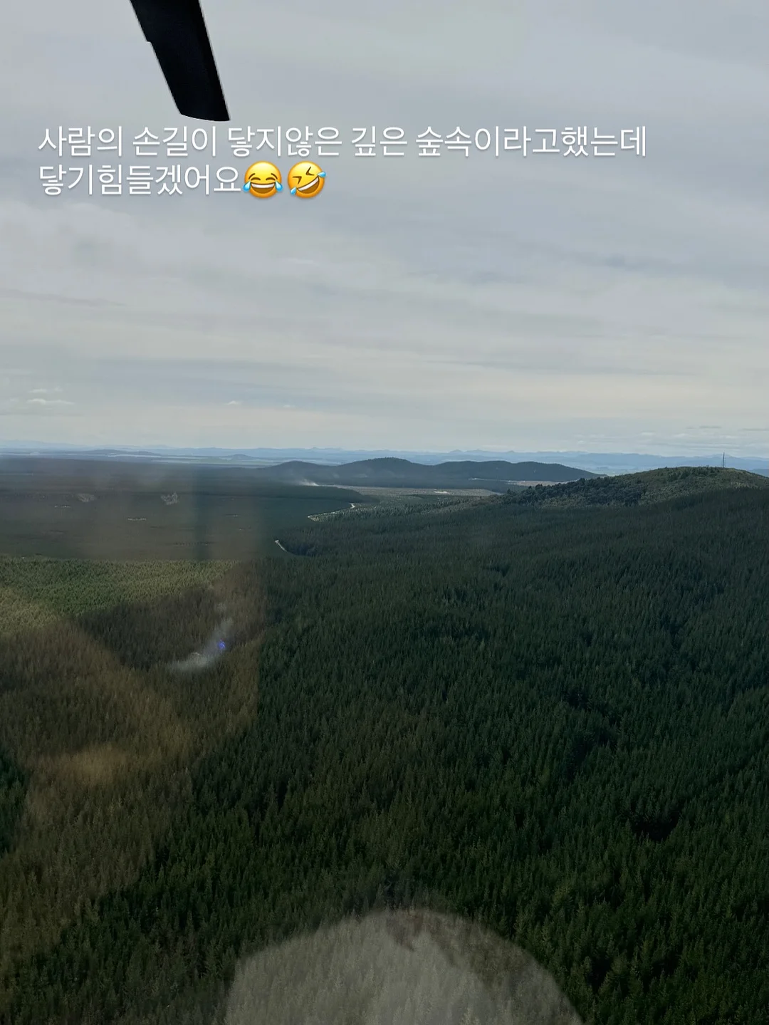 알터에고 노워시 트리트먼트 9