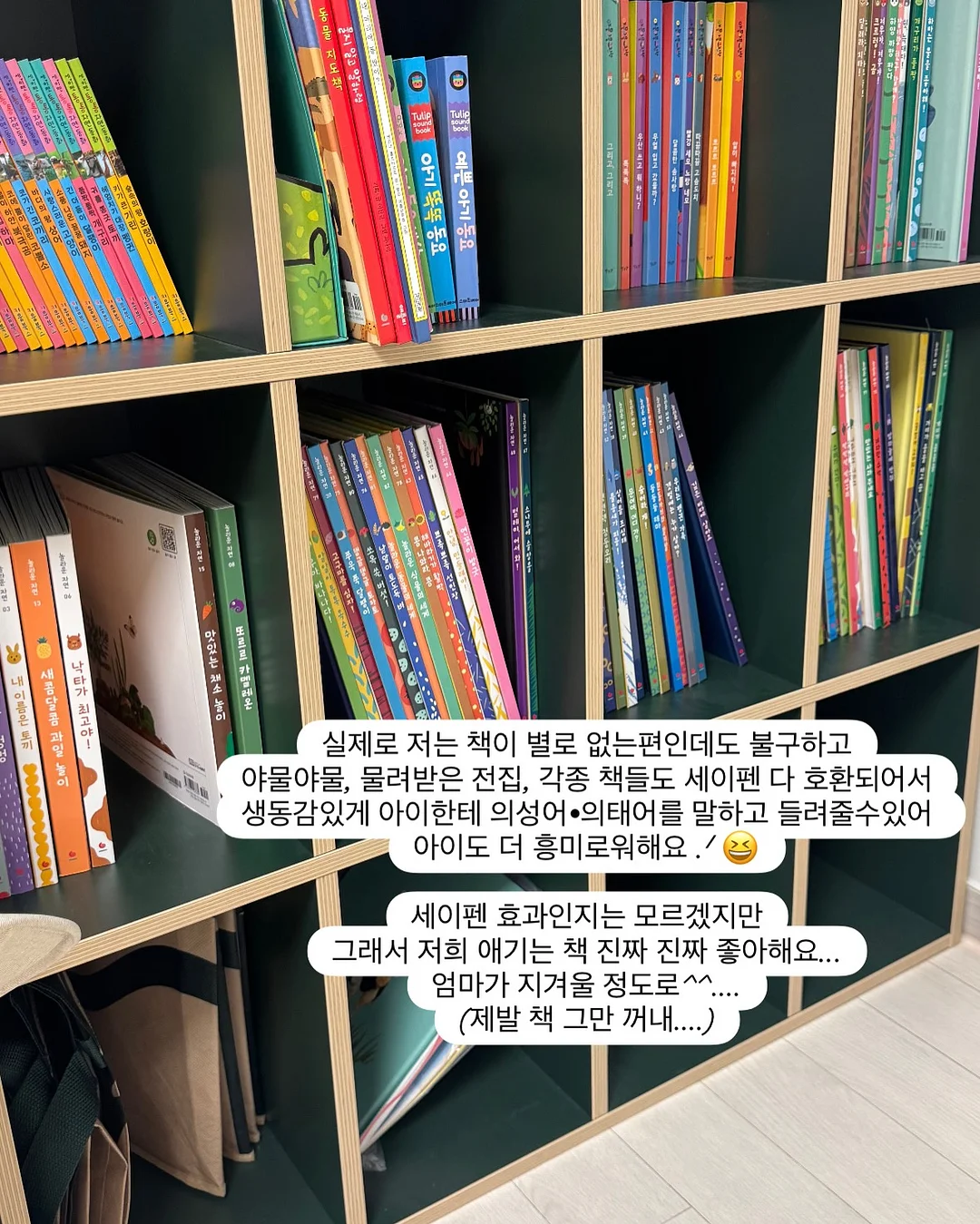 야옹이 수영 교실 시리즈 13