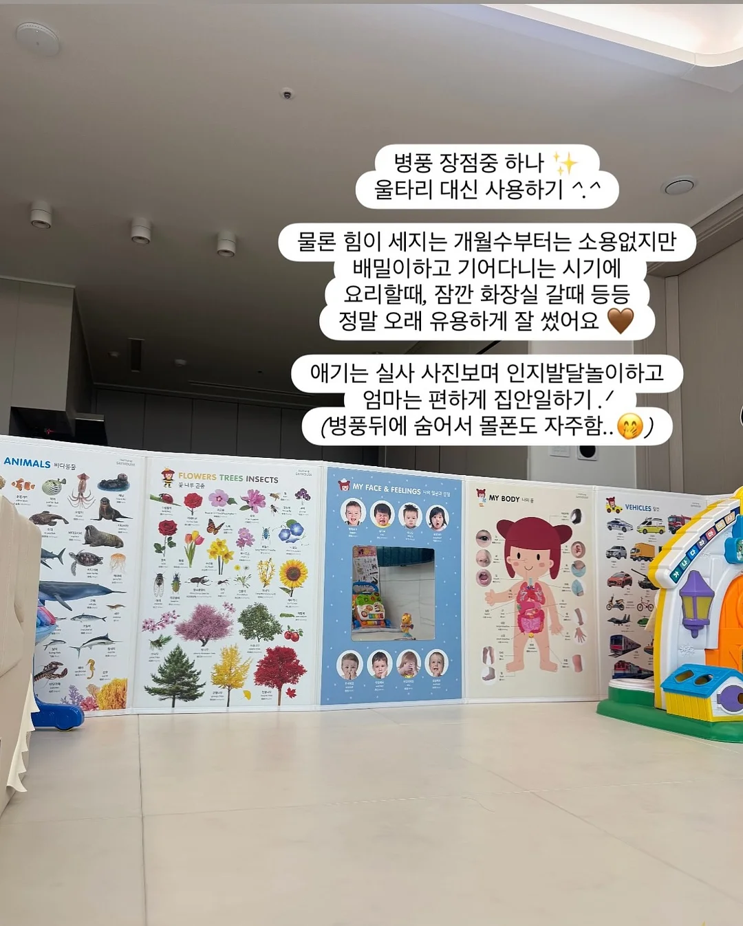 야옹이 수영 교실 시리즈 14