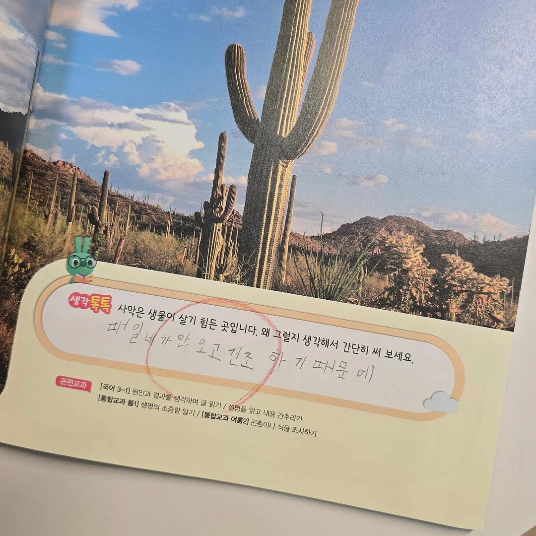 인샤워바디로션, 스윙바스 전동칫솔, 메디폼 액상드레싱 8
