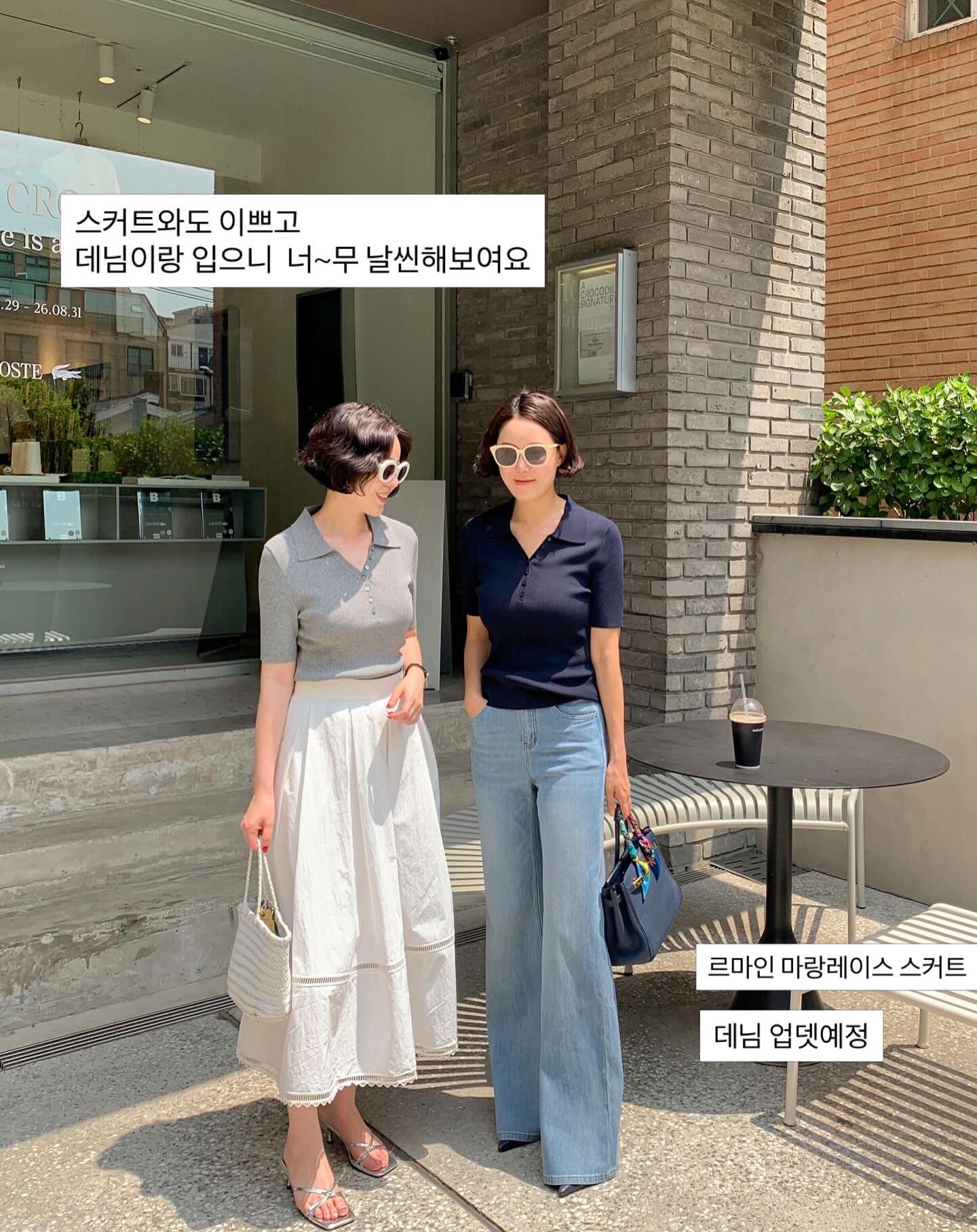 루비고무나무 4