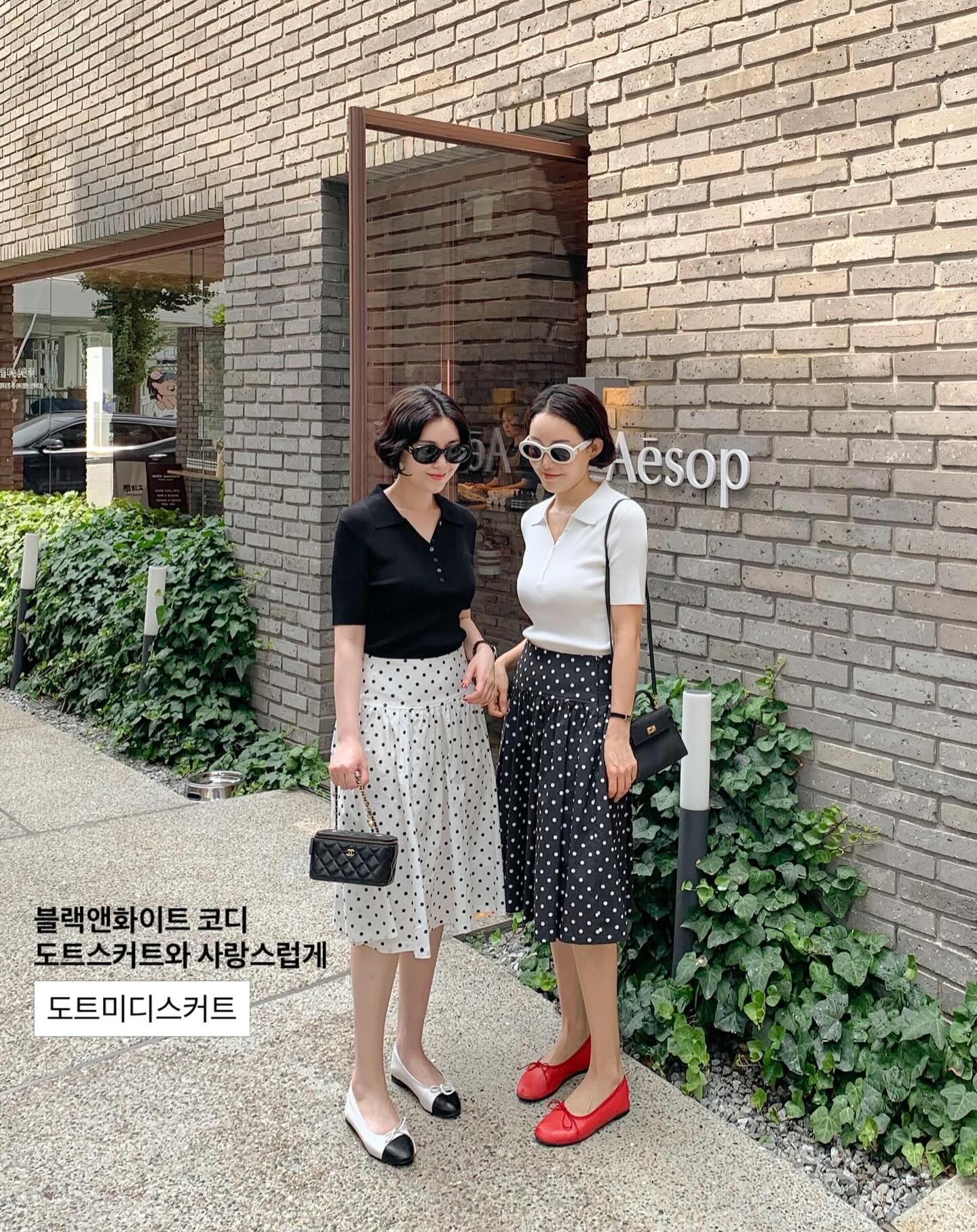루비고무나무 5