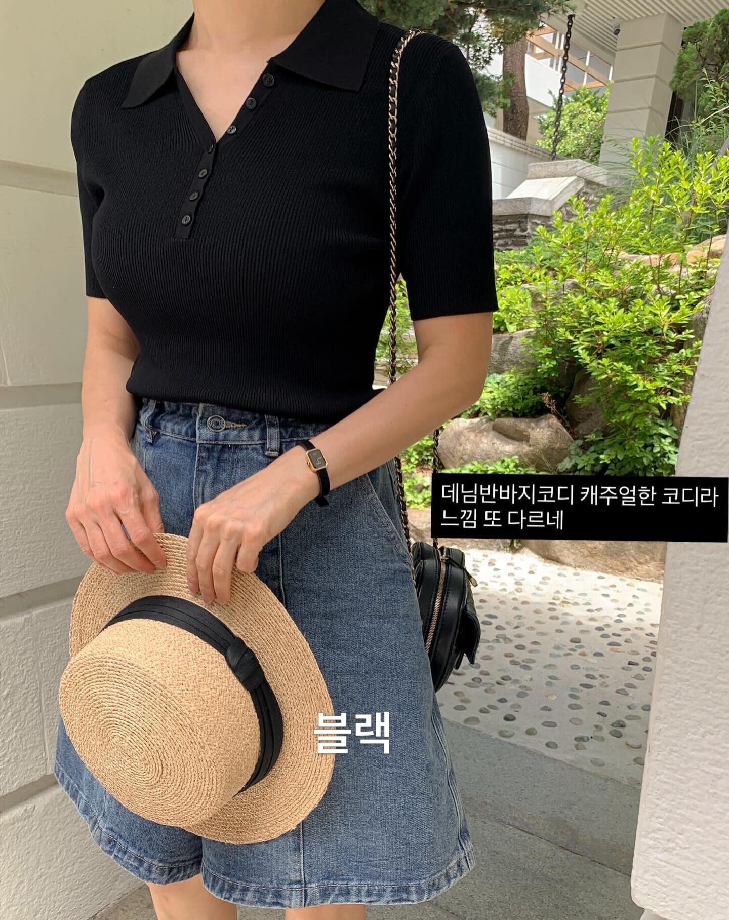 루비고무나무 6