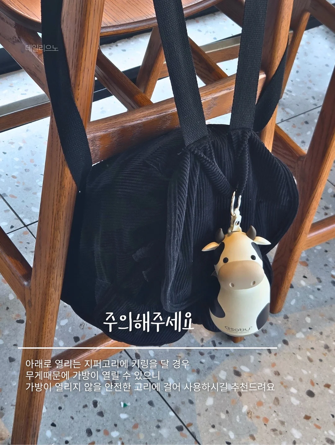 뱅갈고무나무 11