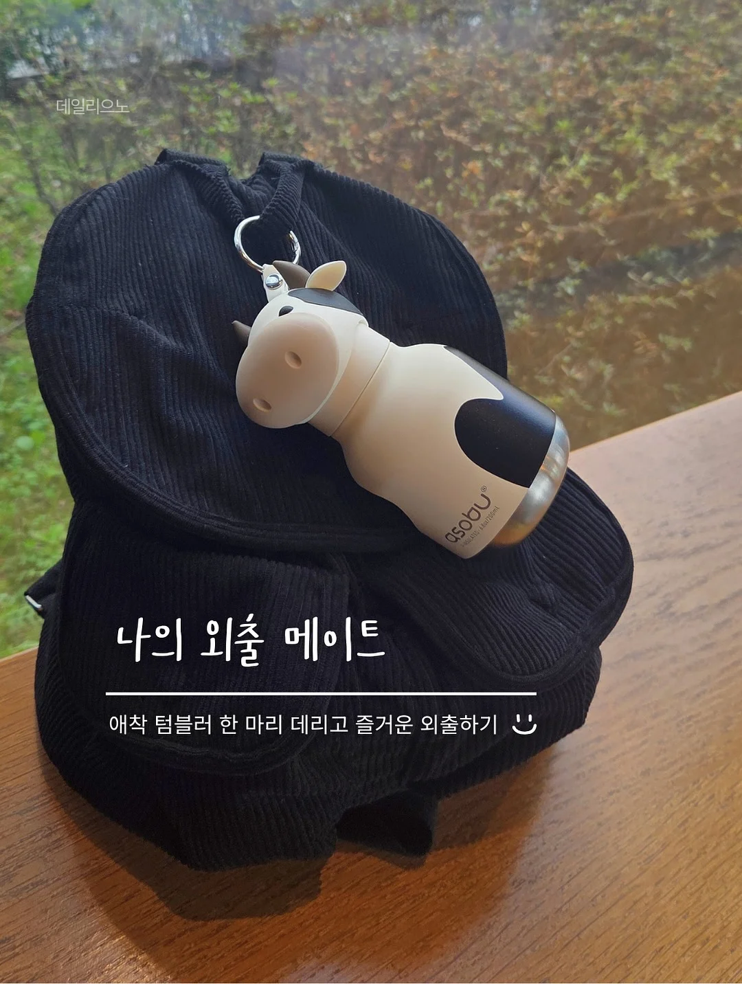 뱅갈고무나무 2