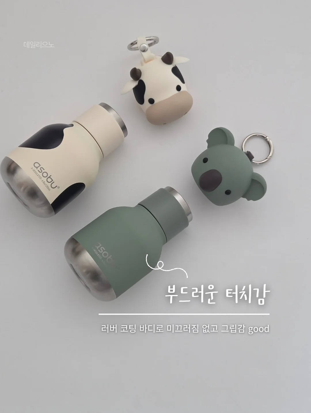 뱅갈고무나무 4