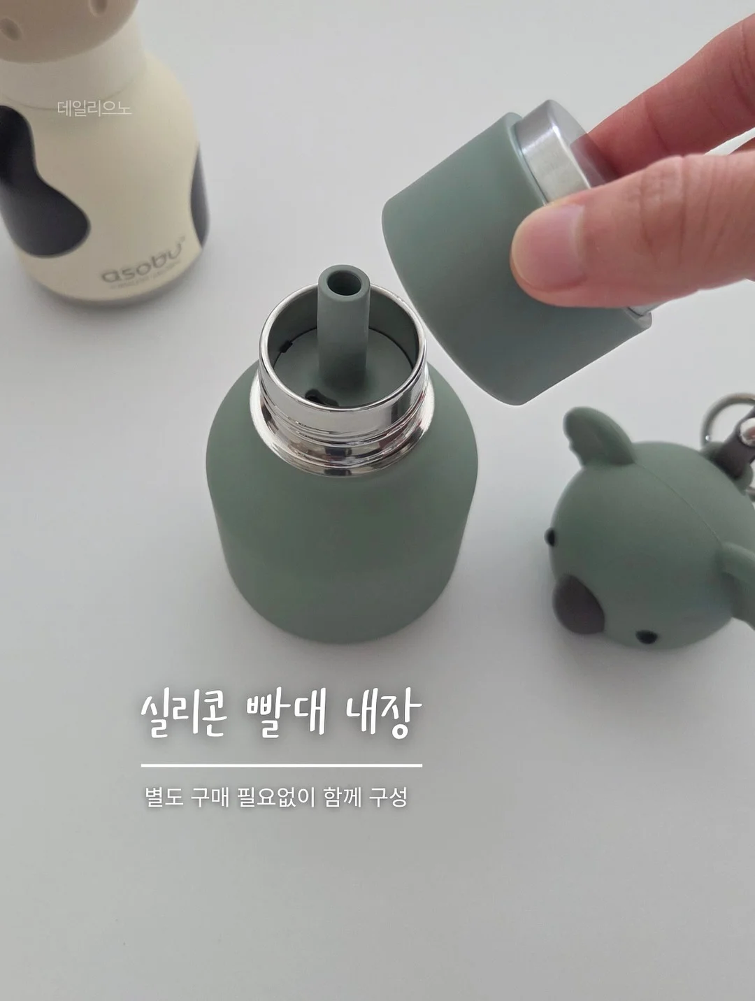 뱅갈고무나무 5