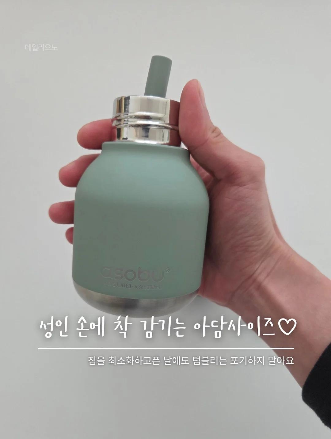 뱅갈고무나무 6