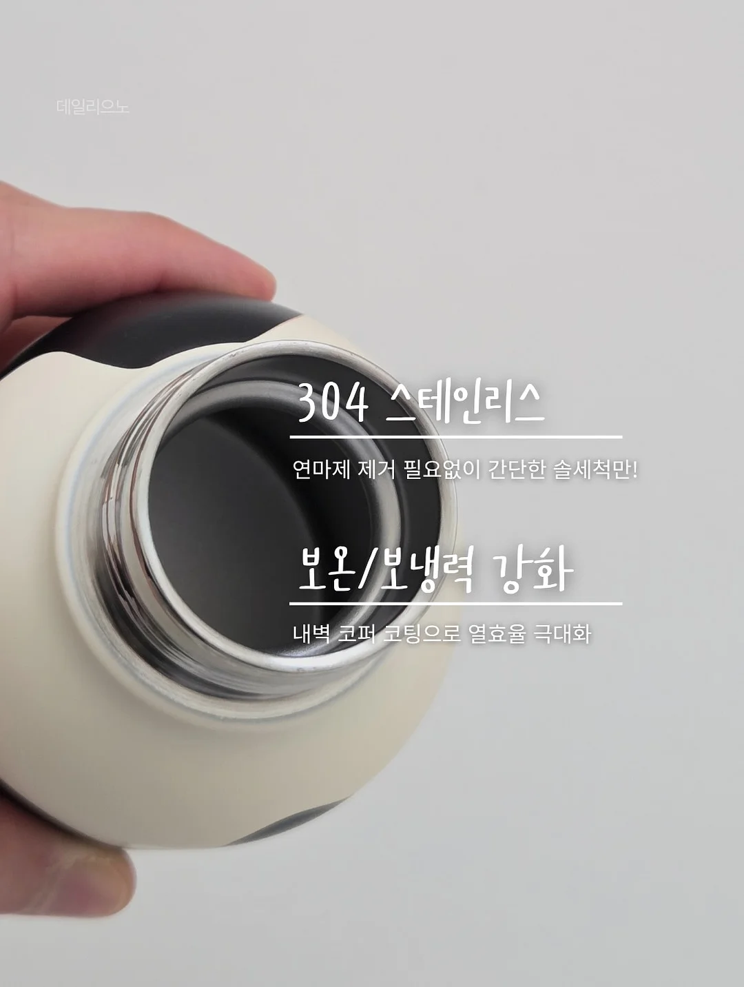 뱅갈고무나무 7