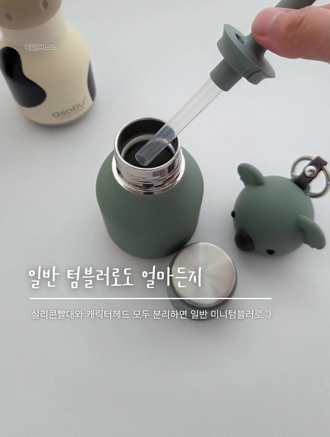 뱅갈고무나무 8