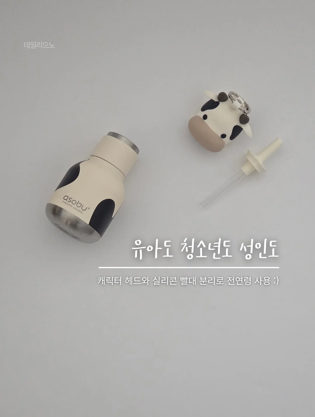 뱅갈고무나무 9