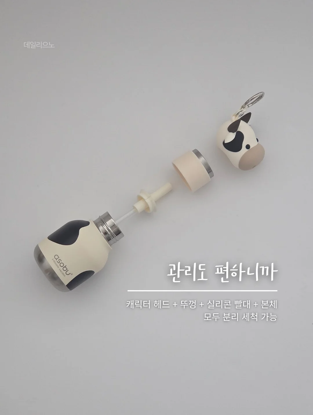 뱅갈고무나무 10