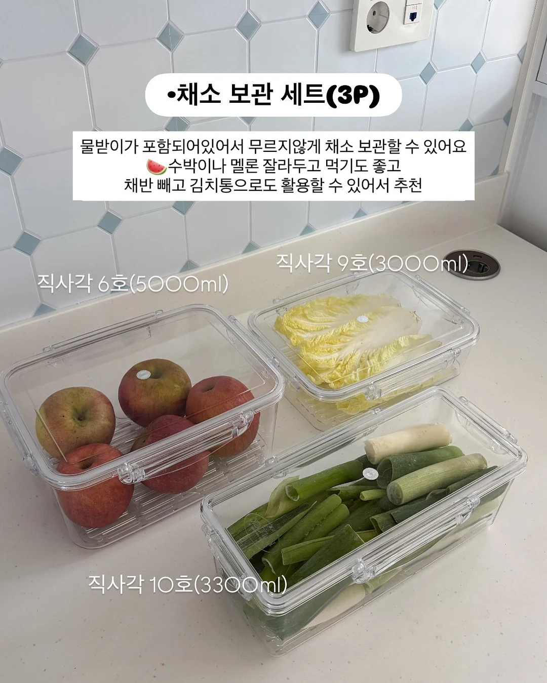 공룡대발이 경제동화 12
