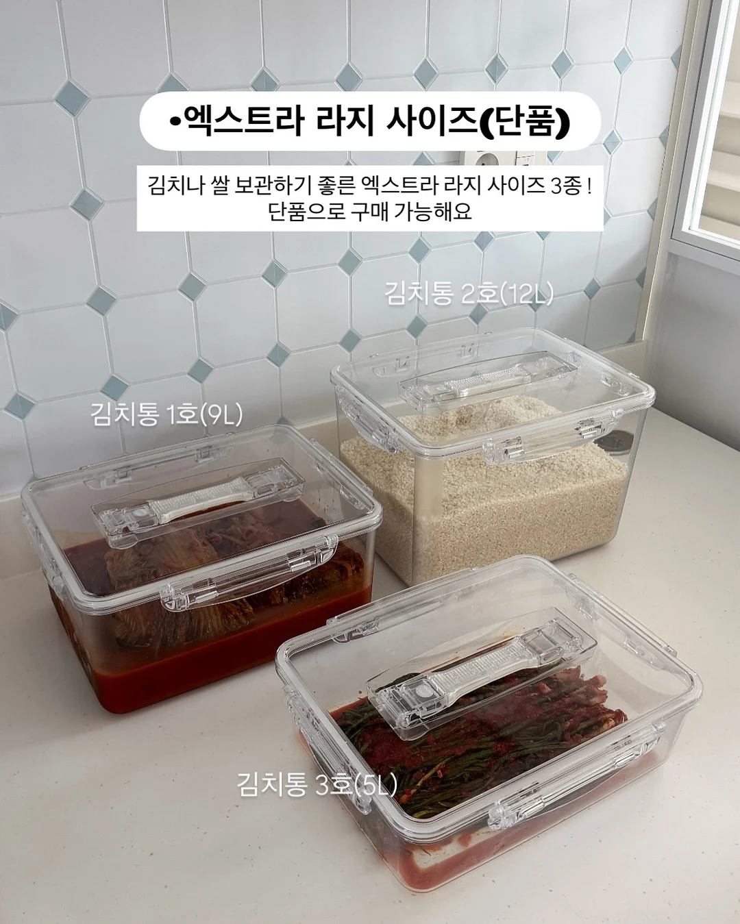공룡대발이 경제동화 13