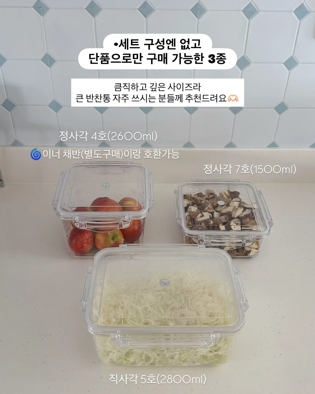 공룡대발이 경제동화 15