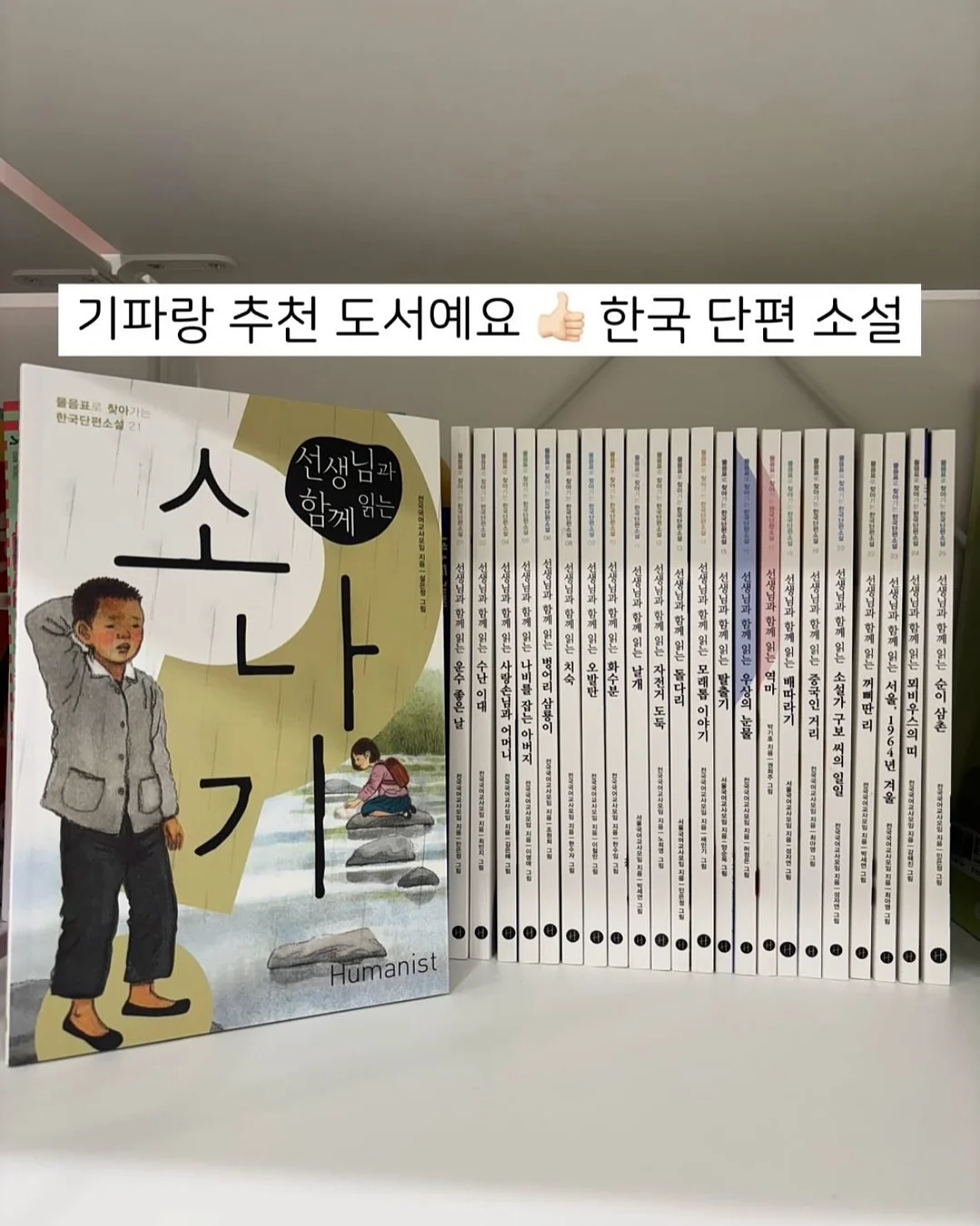 식용생화 케이크 13