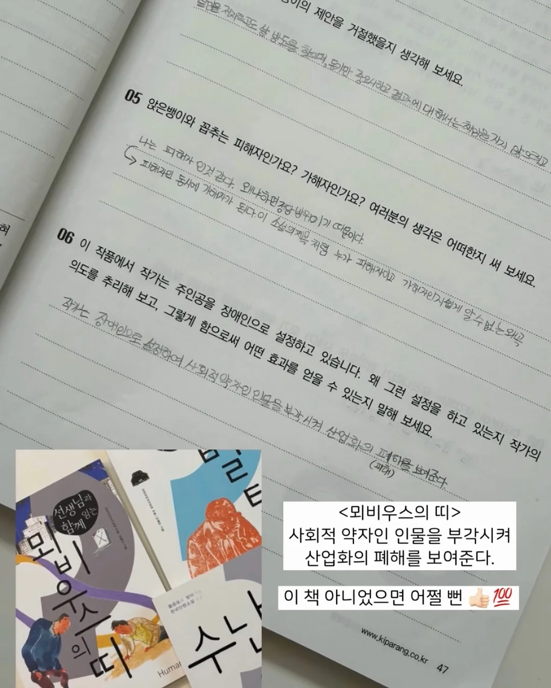 식용생화 케이크 3