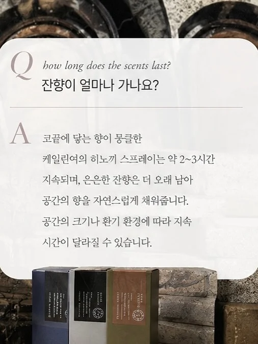 데브자켓 11