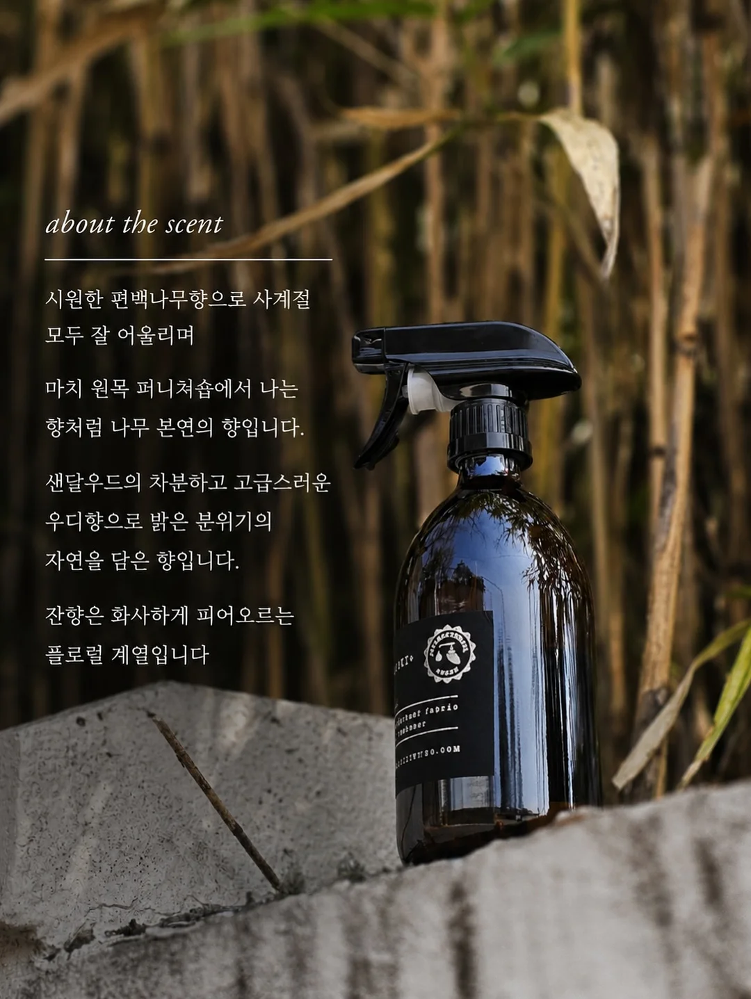 데브자켓 19