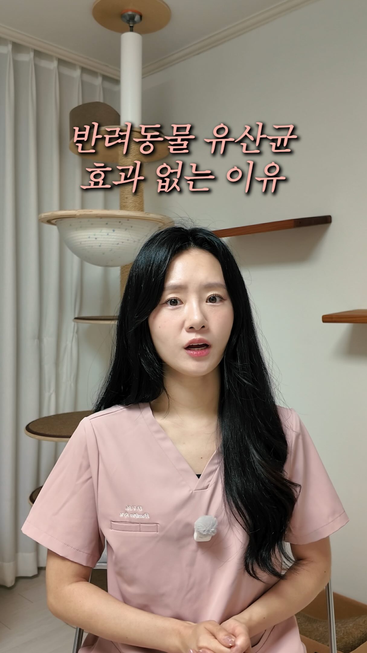 하브케이커리 레터링쌀케이크