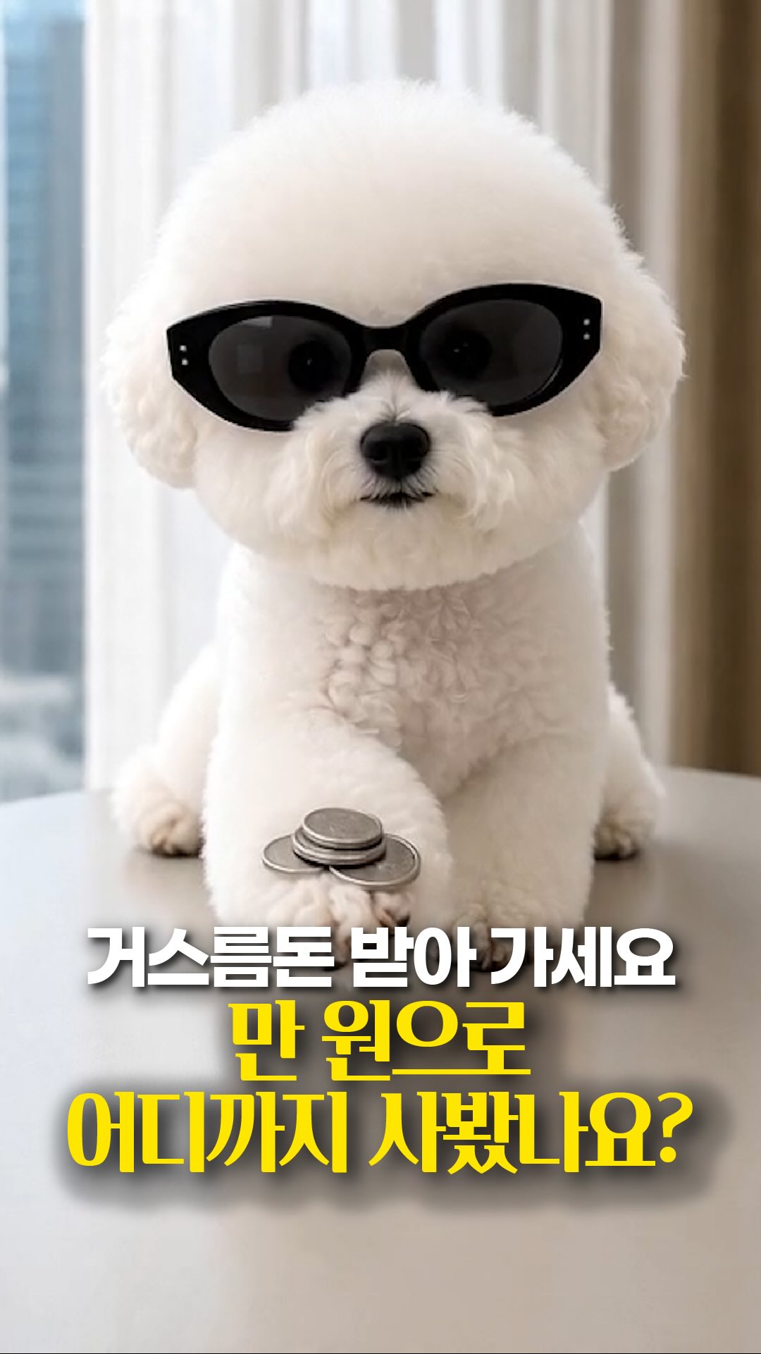 노이 쿠션