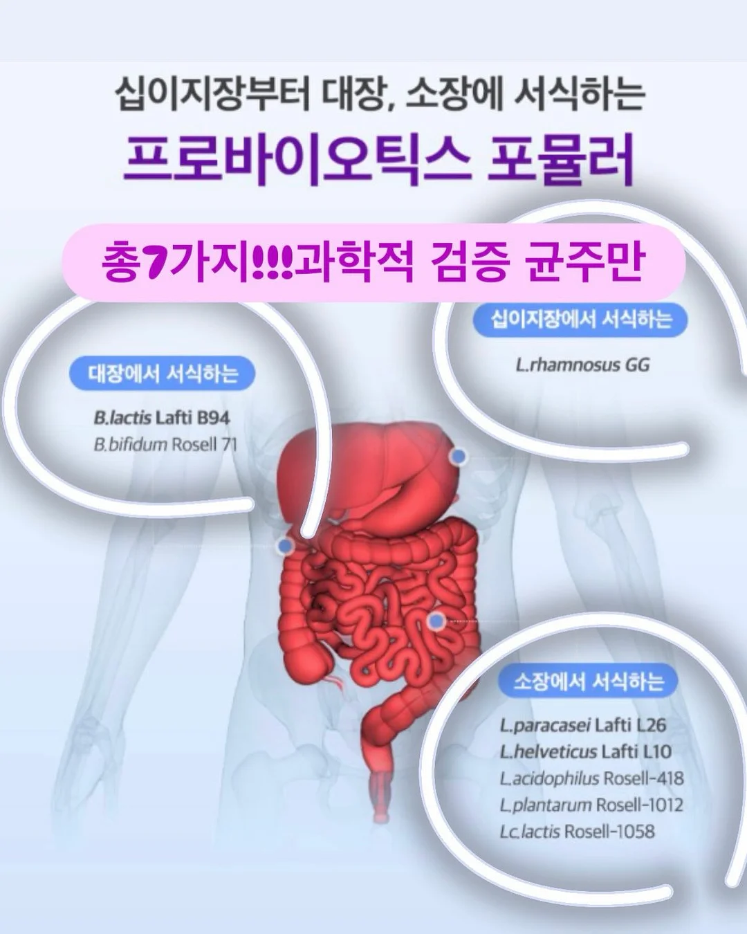 아식스 올드스쿨 바람막이 8
