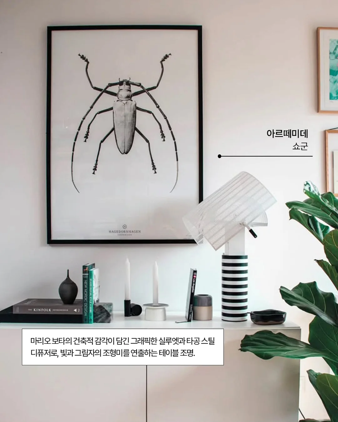 24k 반돈반지 3종 14