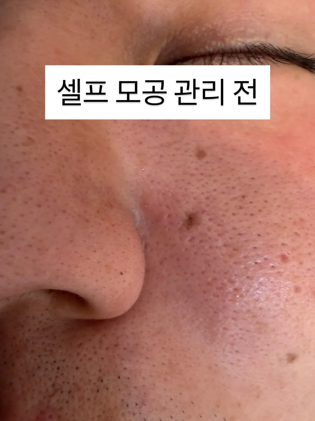 체리 체험 농원 1