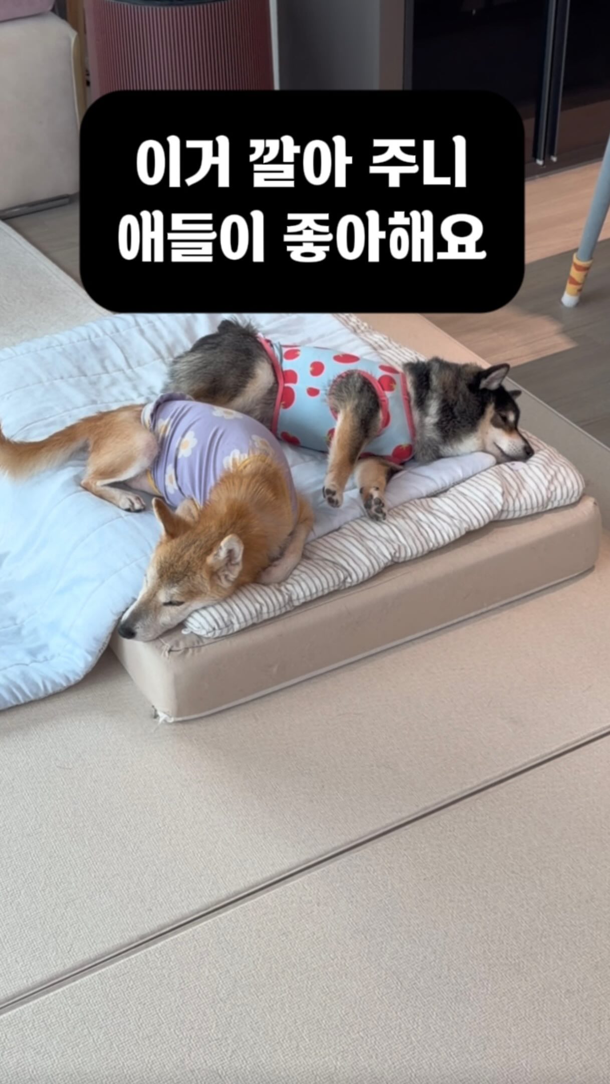 장미넝쿨 수채화 수업